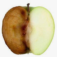Pencoklatan buah apel